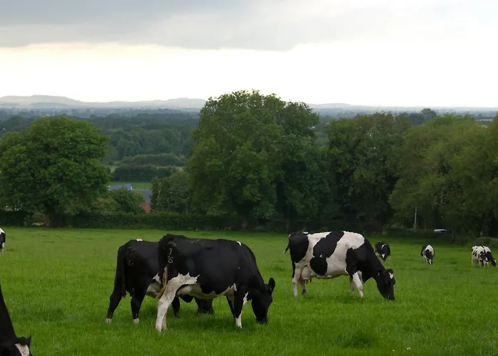 Ballindrum Farm B&B