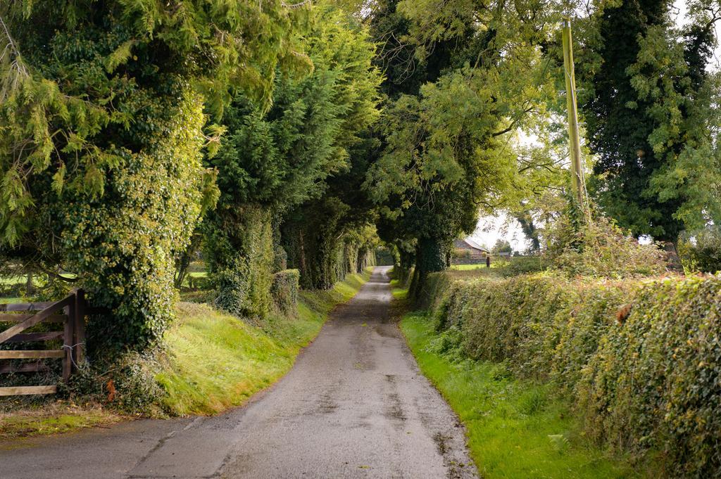 Ballindrum Farm Bed & Breakfast 4*